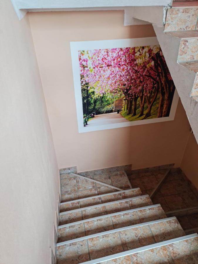 Apartman'S Ana Pale-Oc Jahorina No.2 מראה חיצוני תמונה